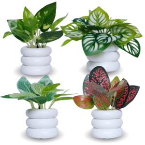 Set of 4 CRE Plants With Pot
